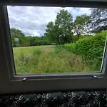 Les De