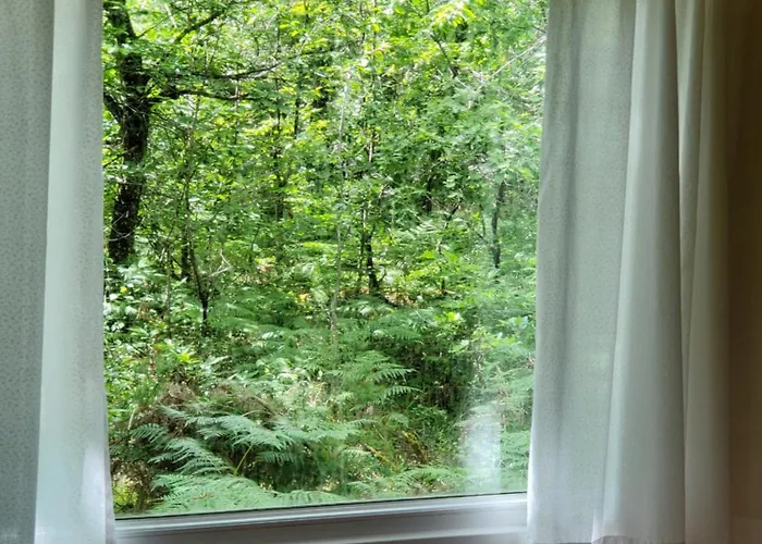 Les De Διαμέρισμα Rouffignac Saint-Cernin