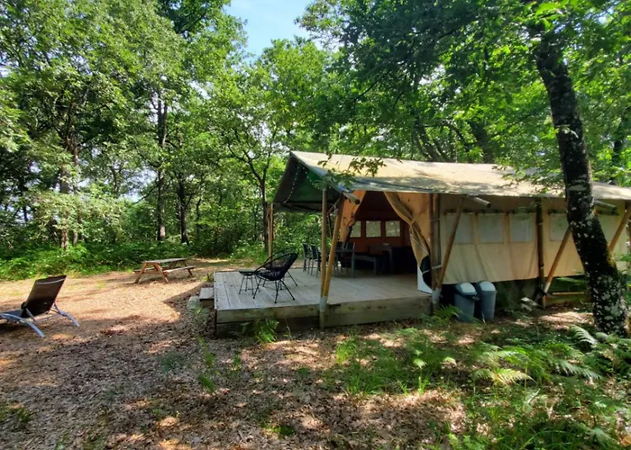 Les De Διαμέρισμα